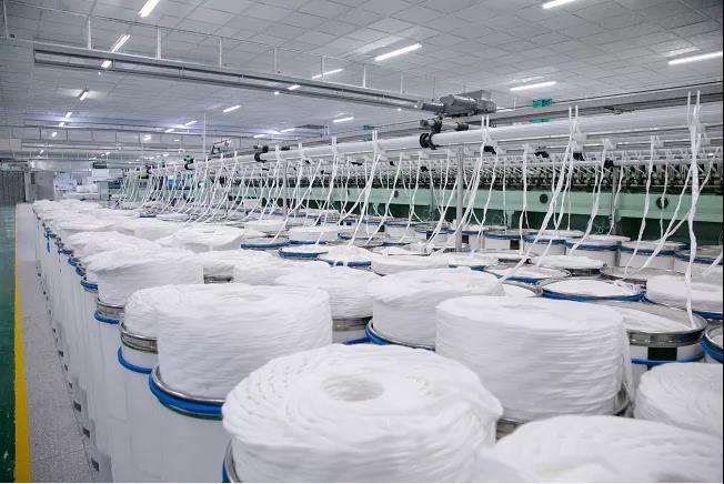 宜宾外贸 为何连续14个月高歌猛进？